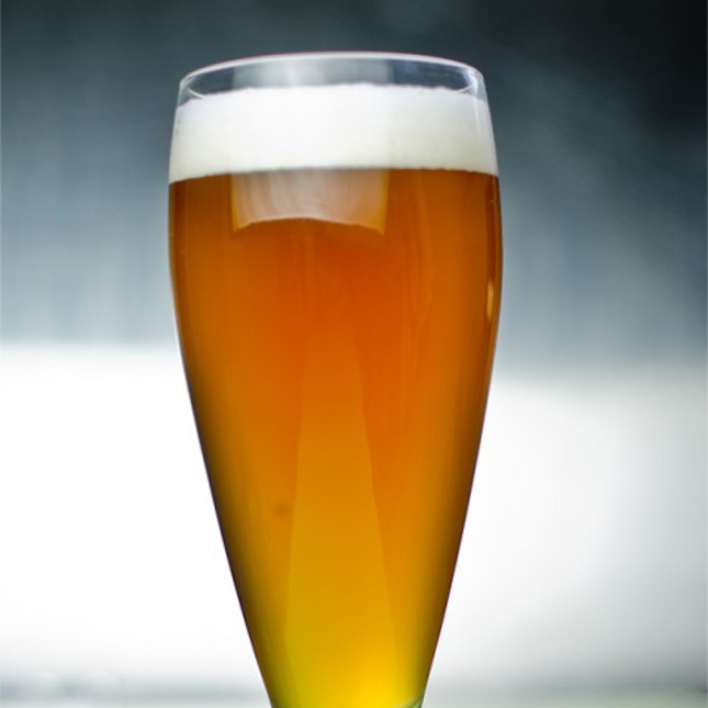 dunkel-lager-recipe