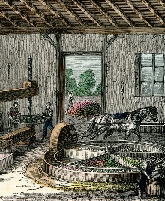 History of cider